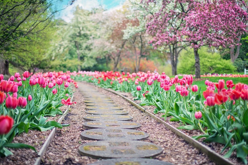 Stone Pathway in a Garden